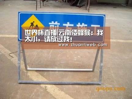世界杯直播|云南倭蜂猴:我太小,请放过我!(图2) 世界杯直播